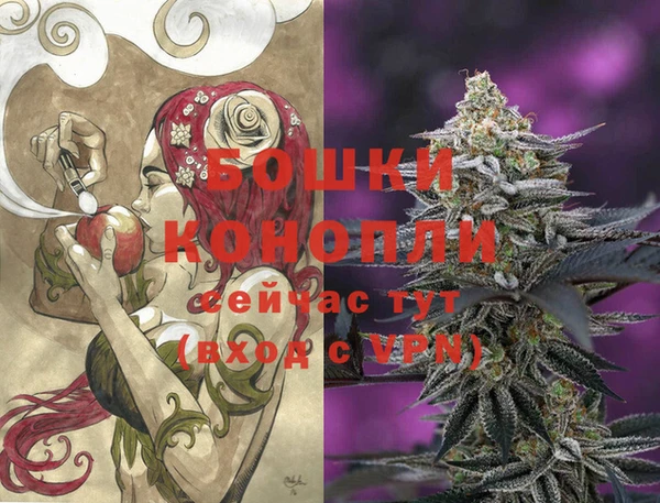 твердый Бородино