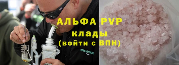 индика Белоозёрский