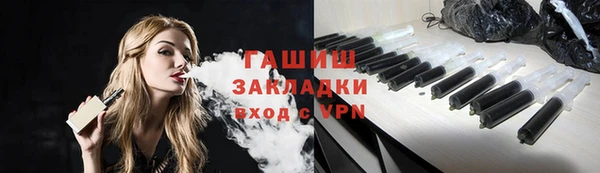 твердый Бородино