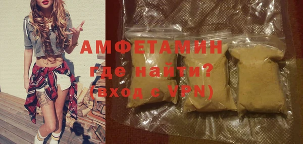 твердый Бородино
